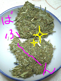 牧草ペレット5.jpg