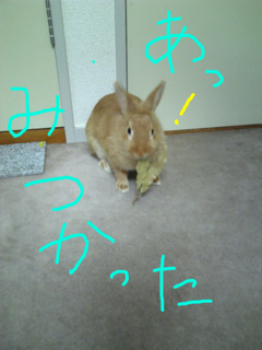 盗み食い3.jpg