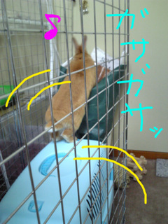 盗み食い5.jpg
