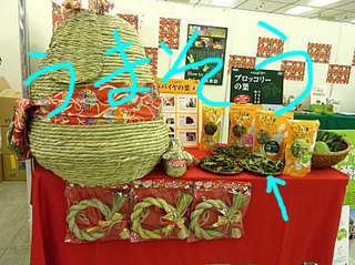ししょく.jpg