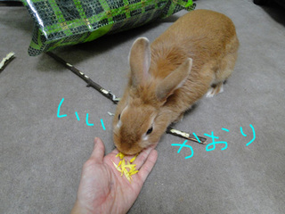 たべる2.jpg