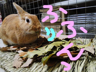 たべる5.jpg