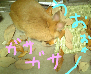 たべる8.jpg