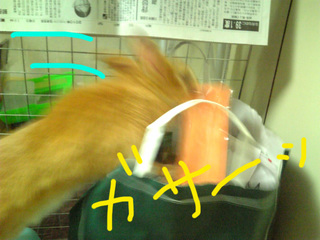 ぬすむ5.jpg