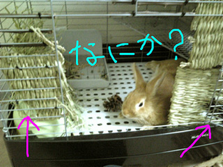 わら4.jpg