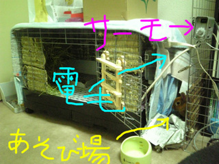 ケージ4.jpg