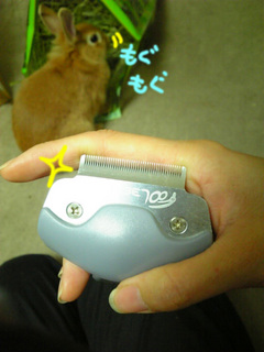 フーリー2.jpg