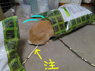 プレゼント3.jpg