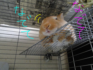 変顔5.jpg
