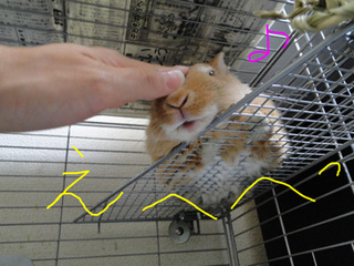 変顔6.jpg