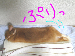 布団で寝る3.jpg