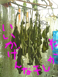 干し野菜5.jpg