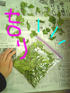 干し野菜6.jpg