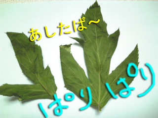 干し野菜8.jpg
