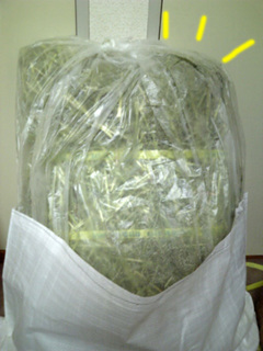 牧草2.jpg