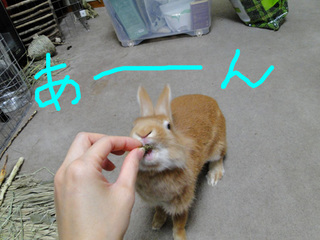 牧草ペレット13.jpg