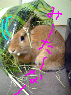 袋4-3.jpg