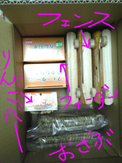 買ったよ1.jpg