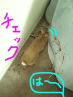 飛びシッコ2.jpg