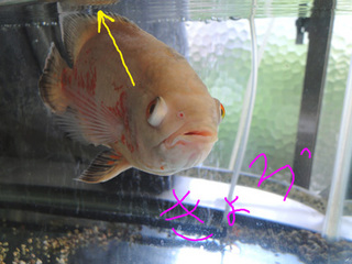 b3.jpg