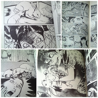 comi5.jpg