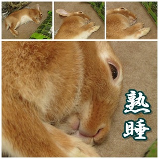 5月21日-2.jpg
