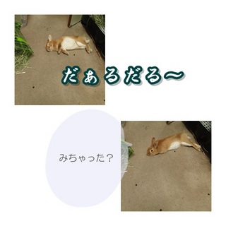 5月21日-3.jpg